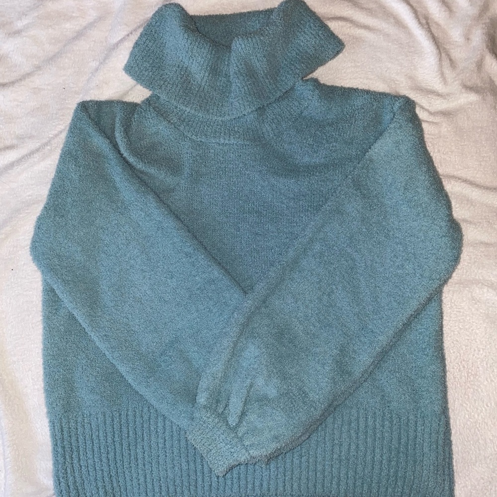 Women’s Fuzzy Turtleneck Sweater